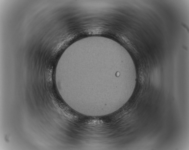 X0000102240543200808221333