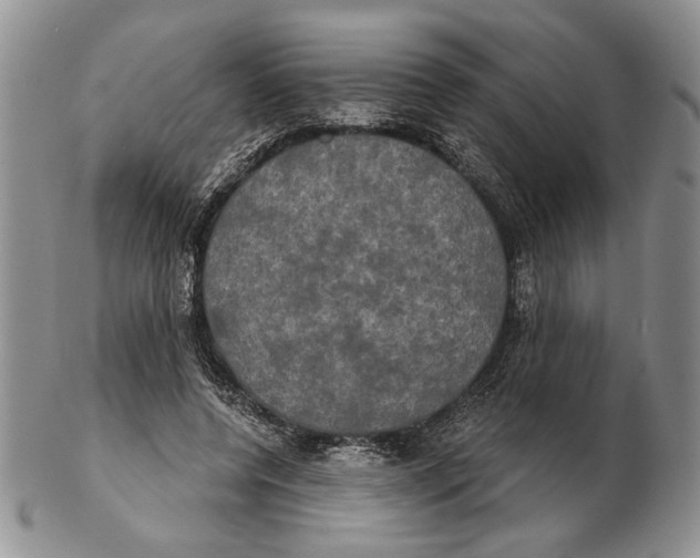 X0000102240544200808221333