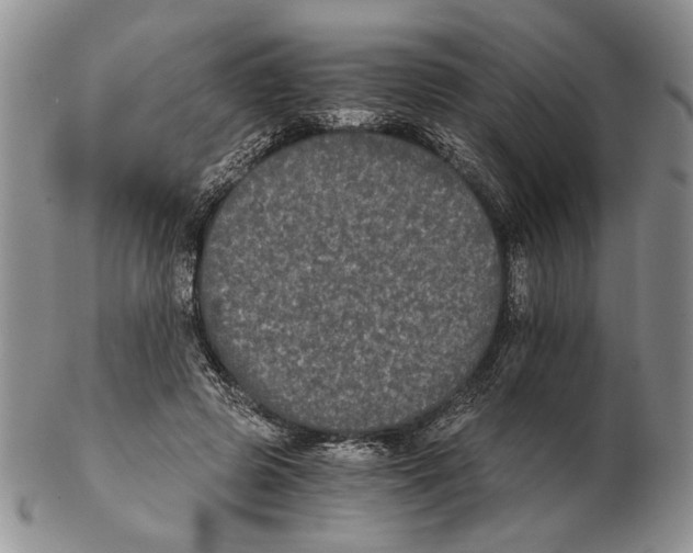 X0000102240545200808221333