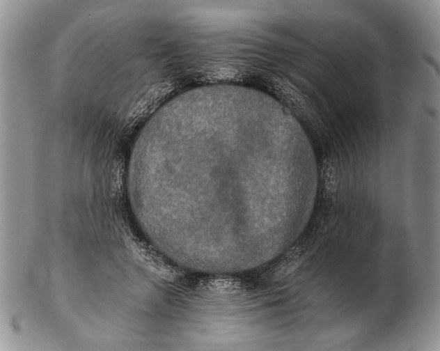 X0000102240546200808221333