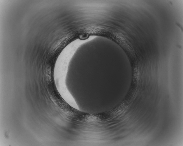 X0000102240547200808221333