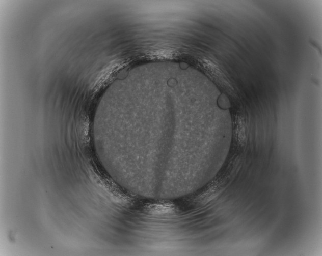 X0000102240548200808221333