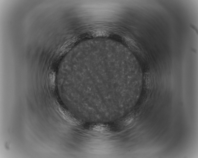 X0000102240550200808221333