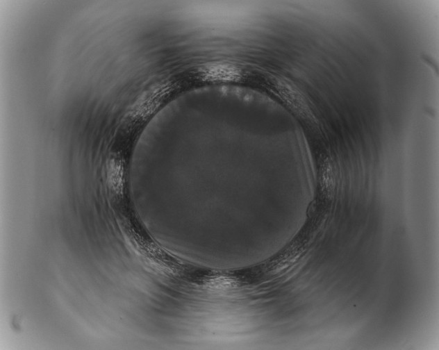 X0000102240551200808221333