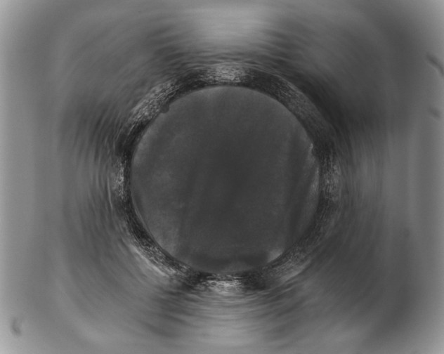 X0000102240552200808221333