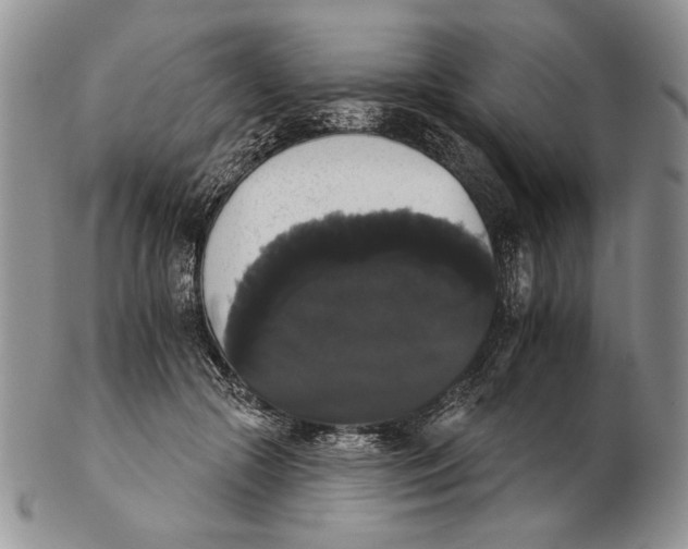 X0000102240553200808221333