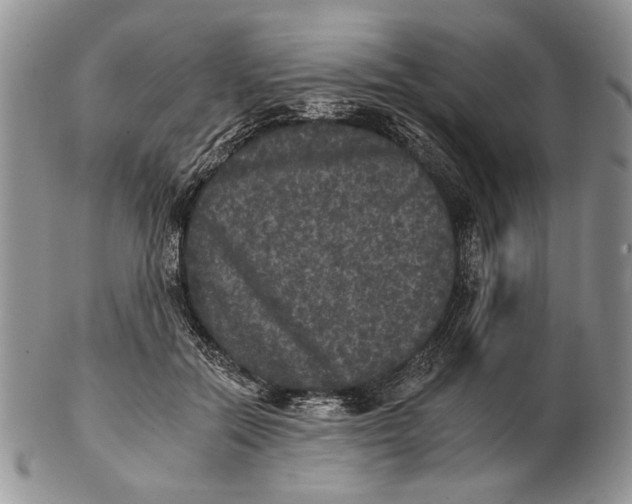 X0000102240554200808221333