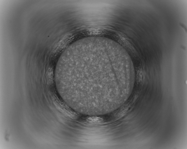 X0000102240557200808221333