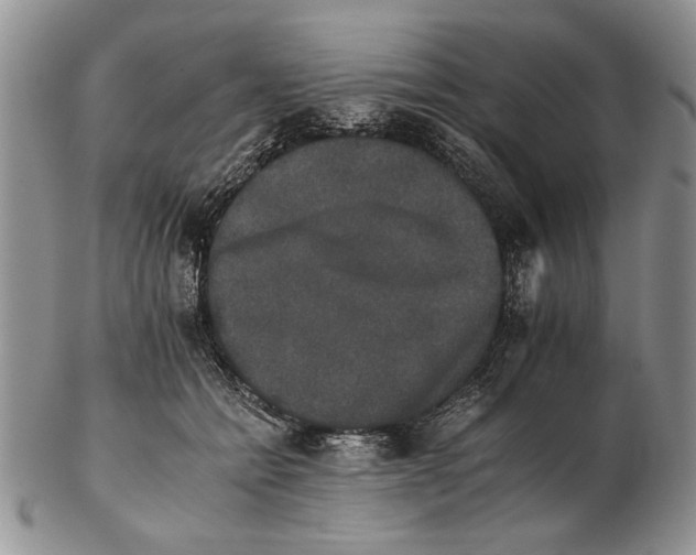 X0000102240558200808221333