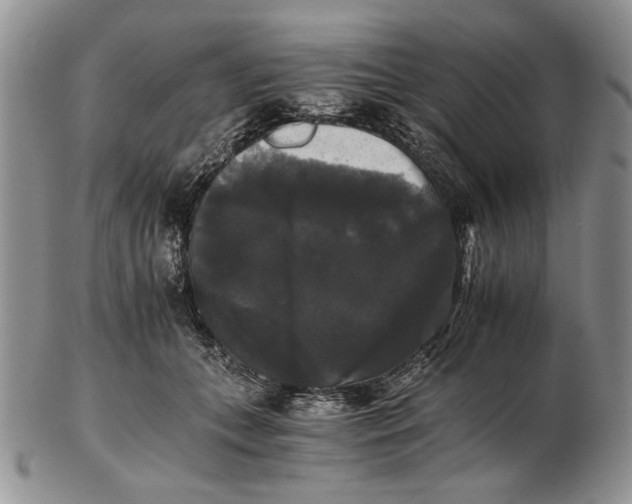 X0000102240559200808221333