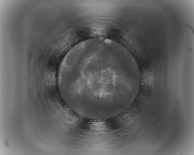 X0000102240560200808221333