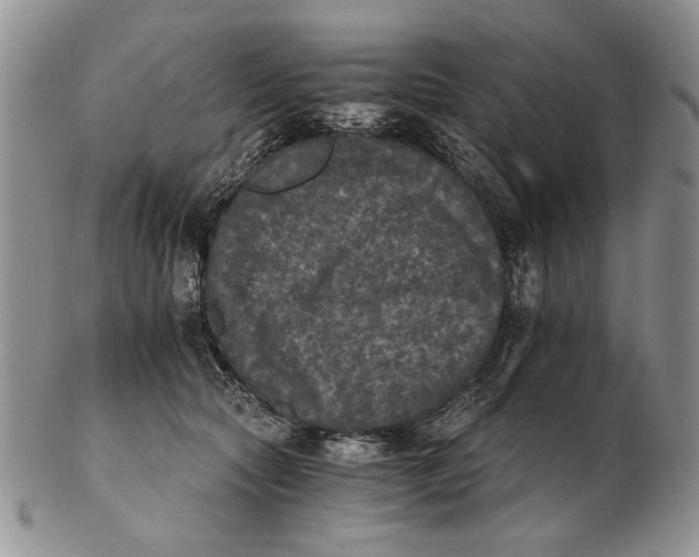 X0000102240561200808221333