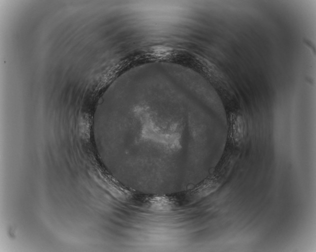 X0000102240562200808221333