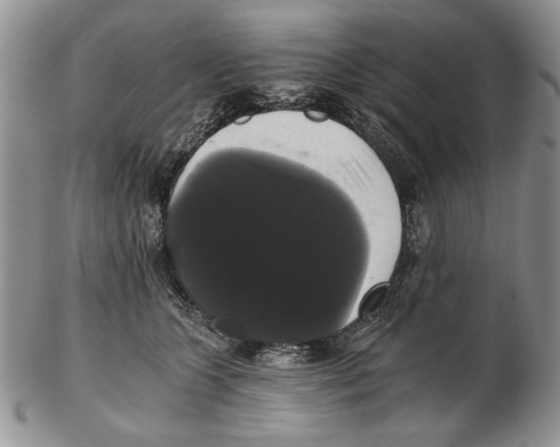 X0000102240563200808221333