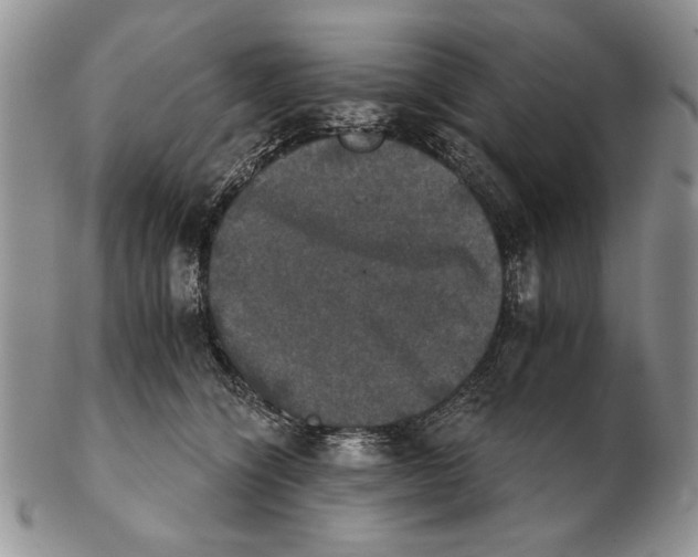 X0000102240564200808221333