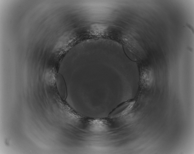 X0000102240566200808221333