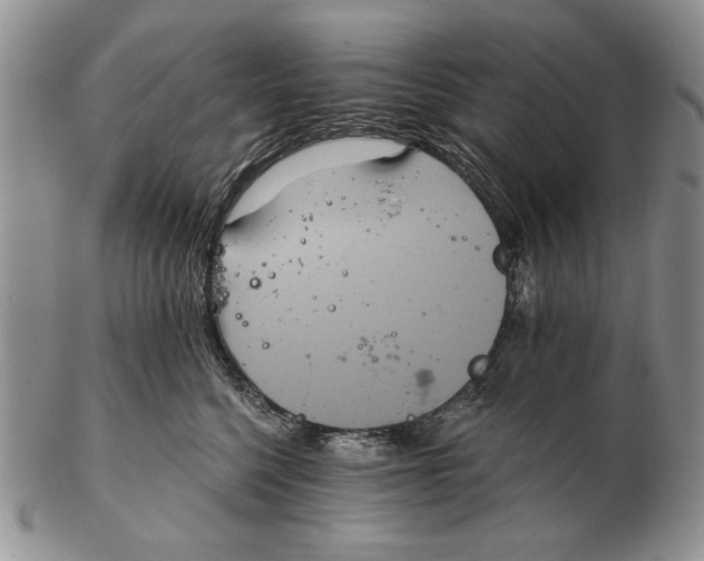 X0000102240568200808221333