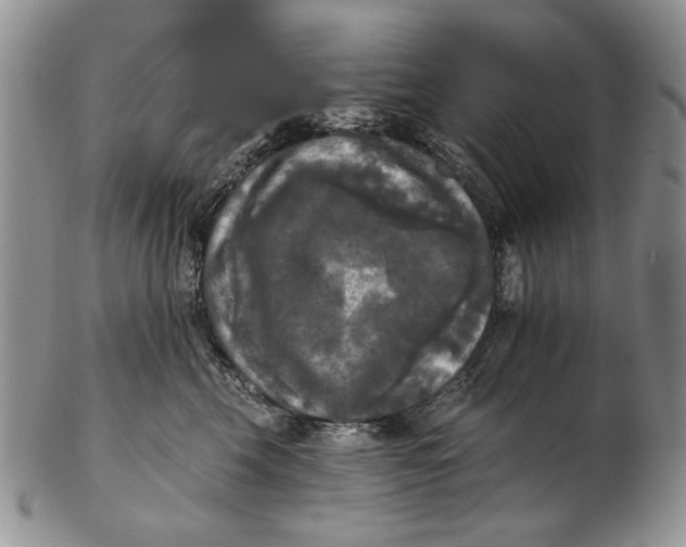 X0000102240569200808221333