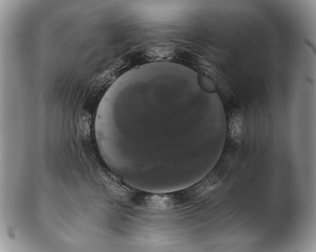 X0000102240570200808221333