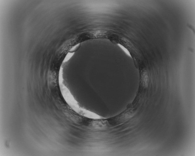 X0000102240571200808221333