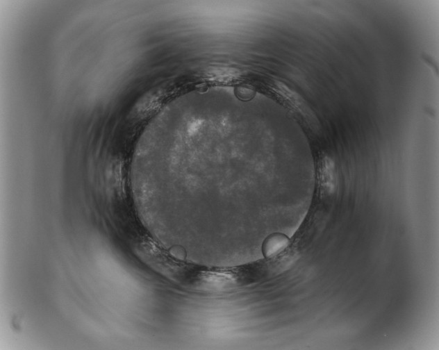 X0000102240572200808221333