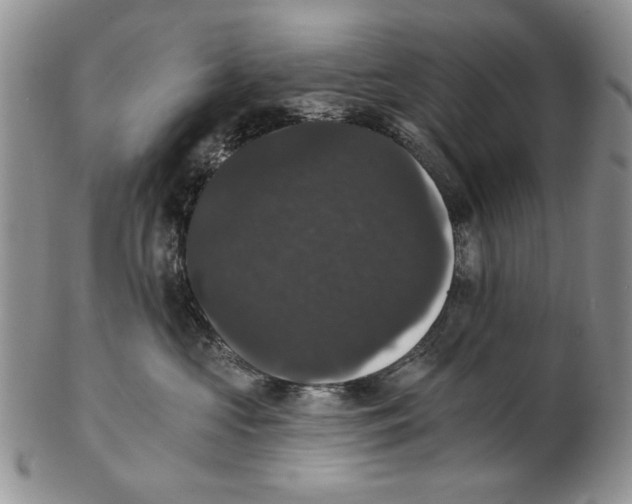 X0000102240573200808221333