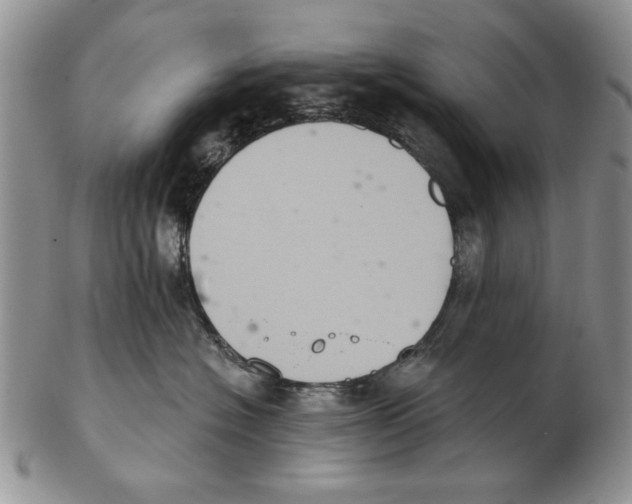 X0000102240574200808221333