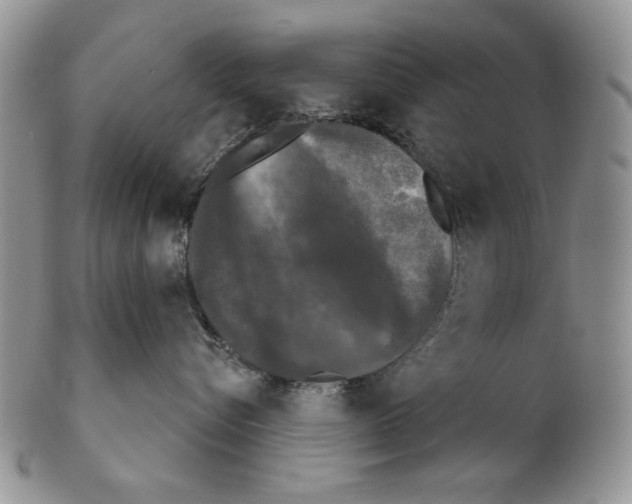 X0000102240576200808221333