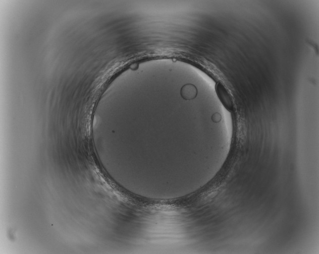 X0000102240577200808221332