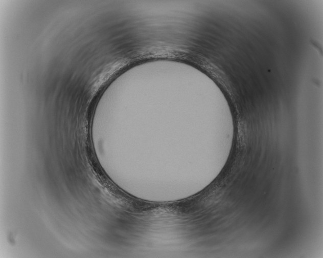 X0000102240578200808221332