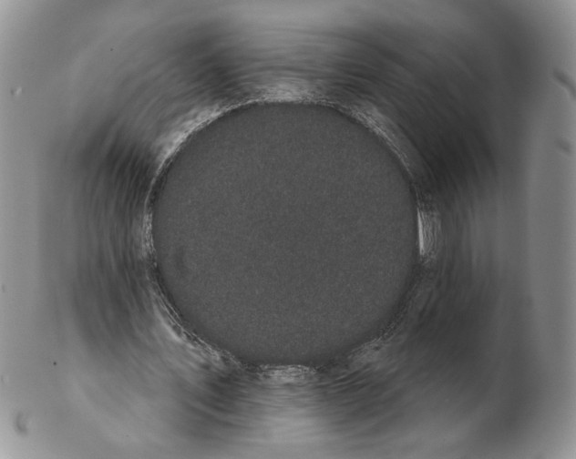 X0000102240579200808221332