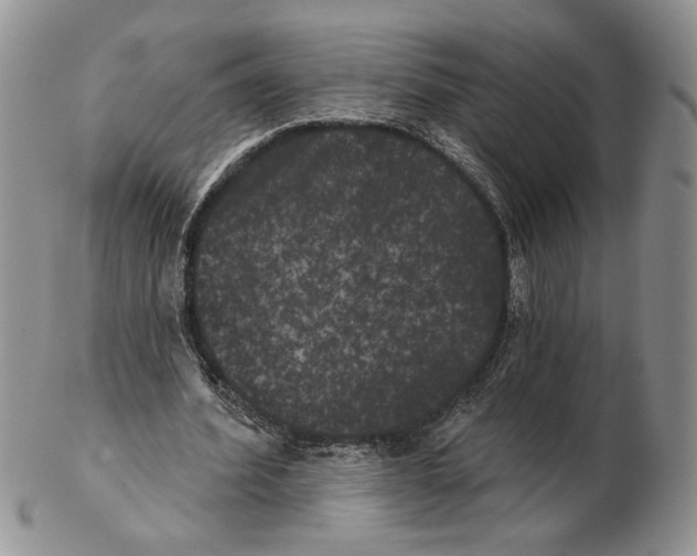 X0000102240580200808221332