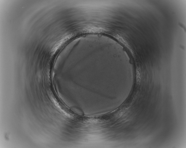 X0000102240581200808221332