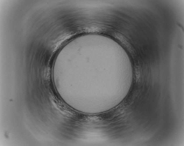 X0000102240583200808221332