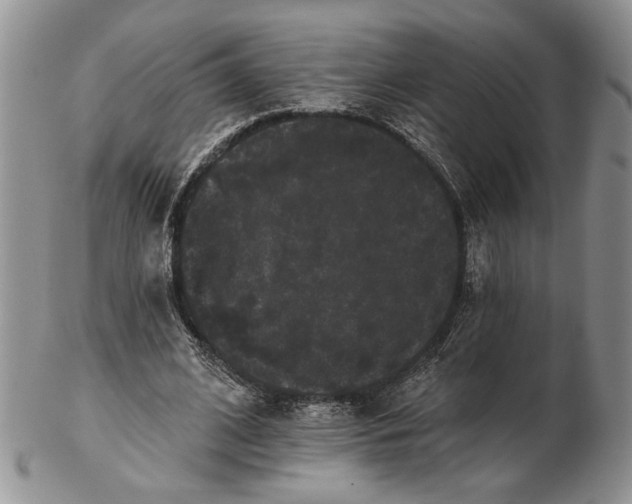 X0000102240584200808221332