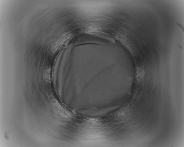 X0000102240585200808221332