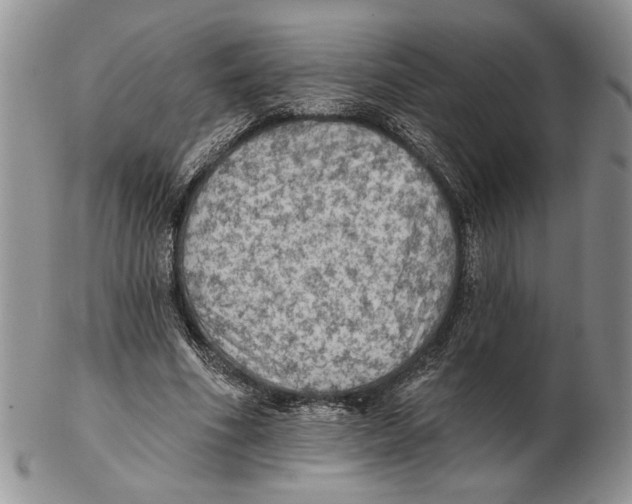 X0000102240586200808221332