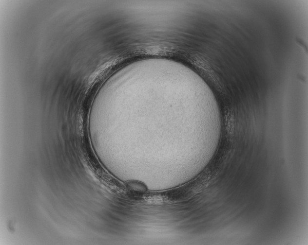 X0000102240587200808221332