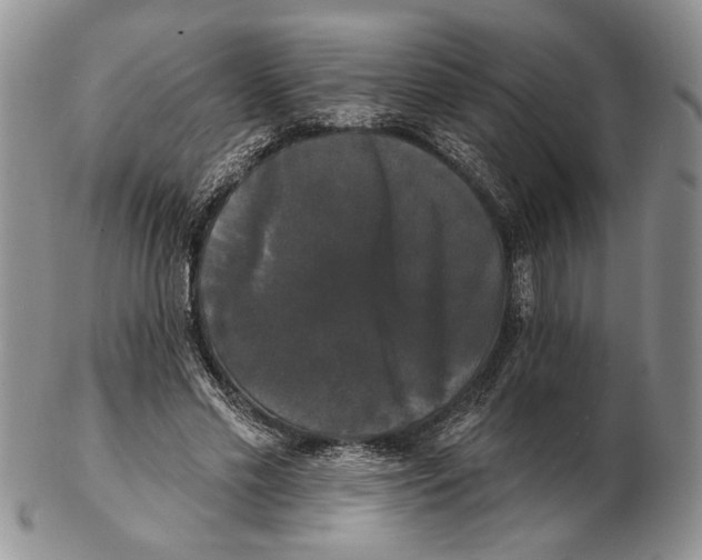 X0000102240589200808221332