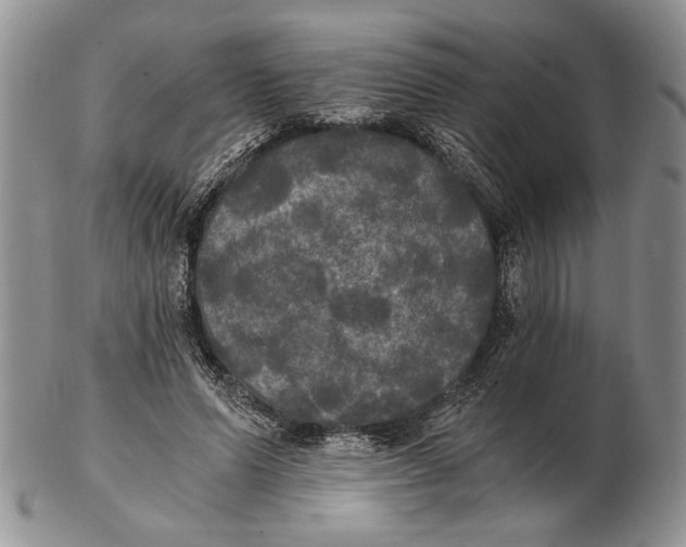 X0000102240591200808221332