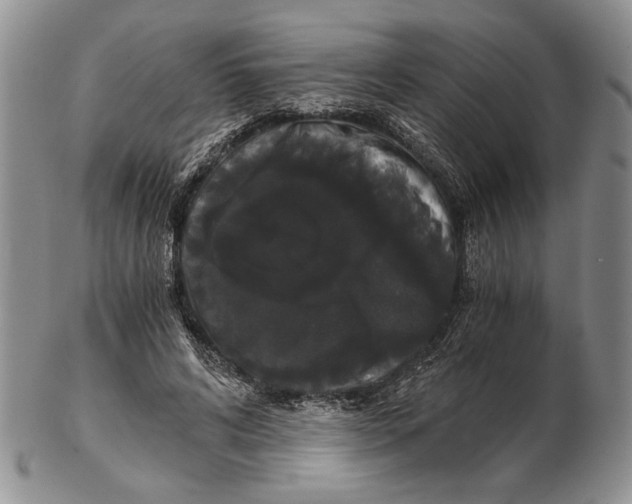 X0000102240592200808221332