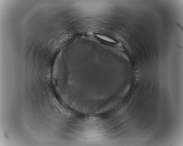 X0000102240593200808221332