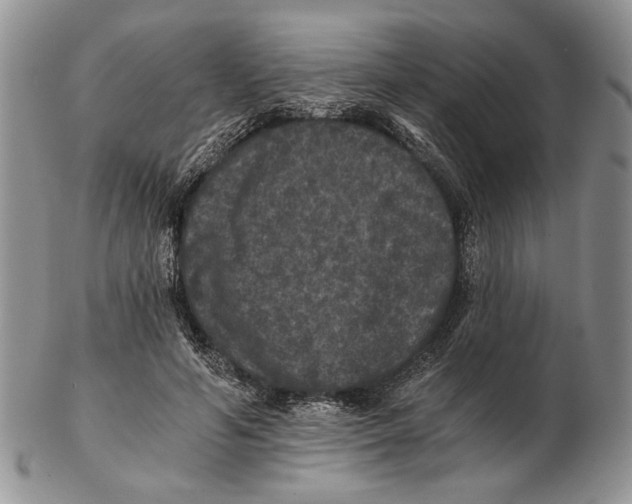 X0000102240594200808221332