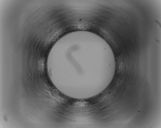 X0000102240595200808221332