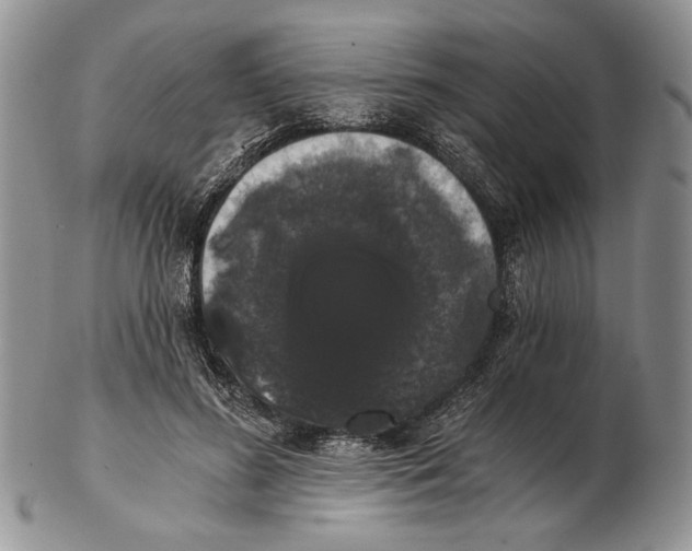 X0000102240596200808221332