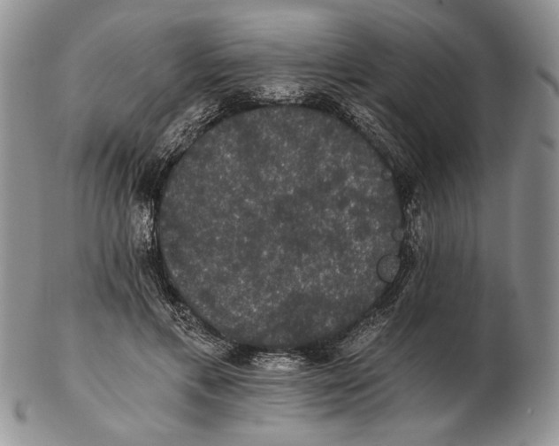 X0000102240597200808221332