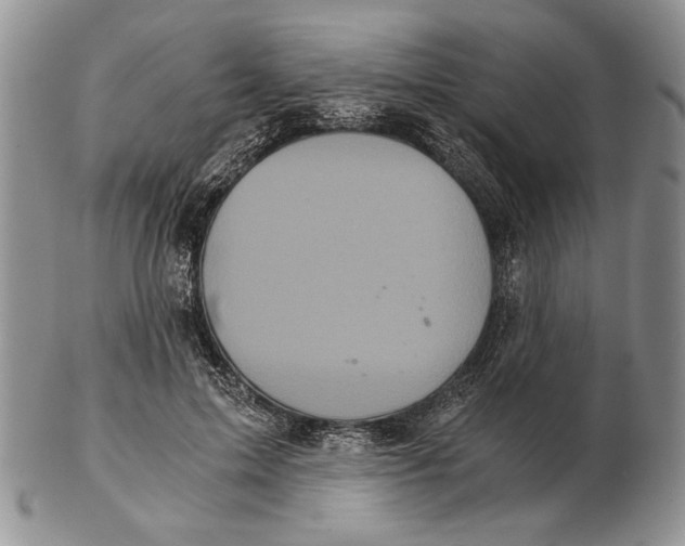 X0000102240599200808221332