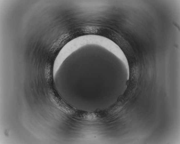 X0000102240600200808221332