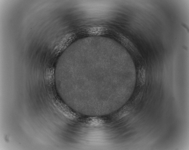 X0000102240601200808221332