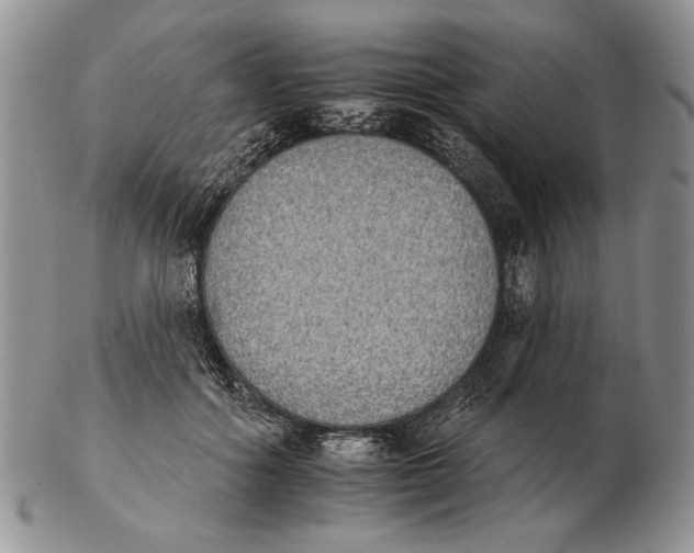 X0000102240602200808221332